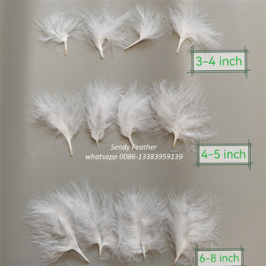 <span class=keywords><strong>Marabou</strong></span> suelto 3-4 "Plumas de pavo blanco Plumas de pluma de sangre de marabú para atar moscas - Product Image 6