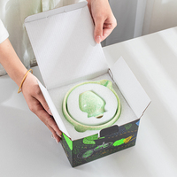 Ensemble de thé matcha japonais en stock, 2 pièces, en céramique artisanale, chawan et support chasen, boîte cadeau, résistant à la chaleur