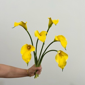 Chất Lượng Cao 48Cm Nhân Tạo Bất Cảm Ứng Calla Lily Trắng Nhân Tạo Calla Lily Cho Ngày Valentine Phục Sinh Trang Trí - Product Image 6