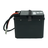 Batterie au lithium portable 24V 55Ah 40Ah pour remplacement de batterie EPT20-15E2L pour chariot élévateur électrique Chinaforklift