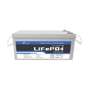 Batterie au lithium rechargeable LVFU OEM/ODM 100Ah 200Ah 6000+ cycles profonds 24V Batteries au lithium 12V - Product Image 6