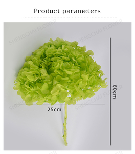 Vente directe du fabricant, <span class=keywords><strong>fleurs</strong></span> d'<span class=keywords><strong>hortensia</strong></span> naturelles conservées, <span class=keywords><strong>fleurs</strong></span> <span class=keywords><strong>séchées</strong></span>, <span class=keywords><strong>hortensia</strong></span>, décoration de la maison, décoration de mariage, <span class=keywords><strong>hortensia</strong></span> blanc - Product Image 6