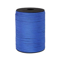 Cordon de parachute en polyester et nylon durable pour le camping, 100 pieds, 4 mm, corde tressée pour tente