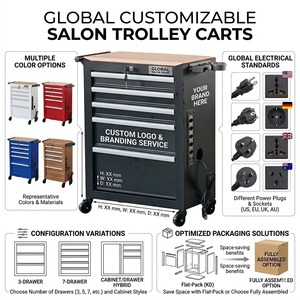 ตู้เก็บอุปกรณ์ช่างตัดผมแบบเคลื่อนที่ 5 ลิ้นชัก ยี่ห้อ OEM พร้อมปลั๊กไฟและที่วางไดร์เป่าผม - Product Image 2