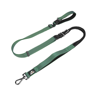 Chạy vật nuôi dẫn <span class=keywords><strong>Webbing</strong></span> cho sang trọng Nylon Dây Xích vật nuôi với logo correa Para Mascota đào tạo lớn có thể thu vào Dây Xích Chó - Product Image 6