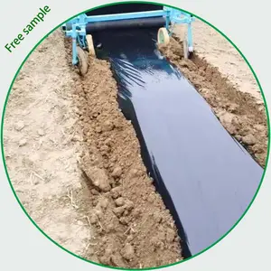 Best Price Silver Black Plastic Mulch Layer/mulch Film Agriculture