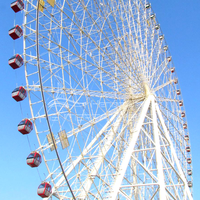 Équipement de parc d'attractions Dinis : Grande roue extérieure avec construction en acier et fibre de verre pour parcs d'attractions