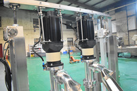 Mini fruit sap productielijn, kleine mango verwerkingsmachine, commerciële SS304, op maat gemaakte OEM fabrieksverkoop