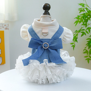 Pour petit chien Design de luxe animaux de compagnie tenues vêtements de mode fête dentelle robe chiot chemise chien jupe Costume pour animaux de compagnie chien robe d'été - Product Image 1