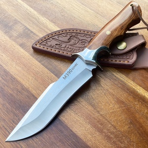 Couteau de camping multifonctionnel de haute qualité, marque HK, modèle SS034, acier inoxydable, DIY, M390, lame fixe, manche en bois, 25 cm - Product Image 4