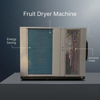 Sterrenappel Droogmachine Warmtepomp Fruitdroger voor de Vietnamese markt