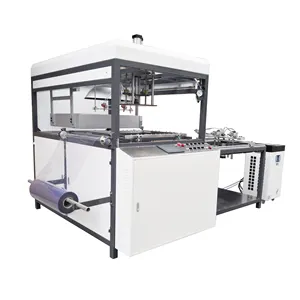 Máquina de fabricación automática de bandejas de blíster, máquina de vacío para concha de ampolla
