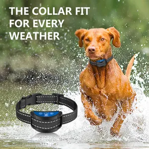 Automatic Anti Bark Collar Vibration No Shock Rechargeable Bark Collar For Dogs Rechargeable Anti Barking