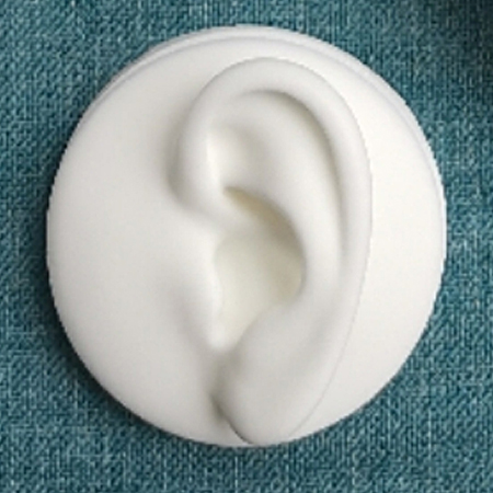 Oreille gauche blanche (sans présentoir)