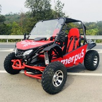 Vente directe d'usine - Go-kart tout-terrain, buggy de plage, véhicule tout-terrain de jungle, deux places, essence, quatre roues, ultra-trail, 200CC