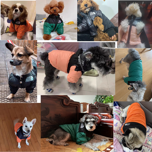 แจ็กเก็ตสำหรับหน้าหนาวสำหรับสุนัขเสื้อโค้ทสำหรับสัตว์เลี้ยงกันลม4ขาเสื้อผ้าสุนัขหนาอบอุ่นสำหรับอากาศหนาว - Product Image 3