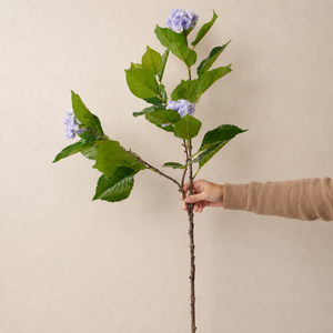 Branche d'hortensia violet directement de l'usine, dégradé de couleurs naturelles, tige flexible pour bouquet de mariage - Product Image 4