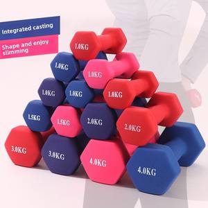 Mancuernas de Hierro Fundido con Revestimiento de Goma Ecológico <span class=keywords><strong>Liveup</strong></span> LE2002, Personalizables con Logotipo, Equipo de Fitness para el Hogar, Mancuernas Pequeñas y Coloridas - Product Image 1