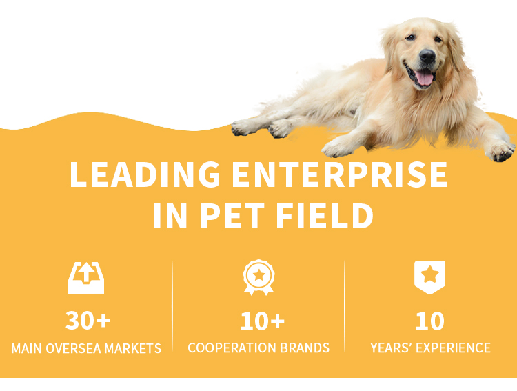 Wholesale Customize Soft Comfortable Breathable Dog Sofa Bed Dog Nest Large Accessories Rectangle Pet Bed For Dog Cat