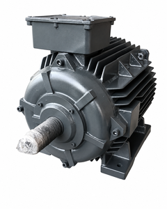 Moteur électrique industriel robuste en fonte avec base de montage pour applications industrielles et alimentation électrique - Product Image 3