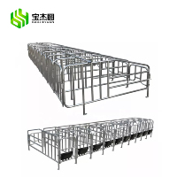 Équipement d'Élevage Porcin Fournisseur Usine Cages de Maternité et de Sevrage pour Porcs
