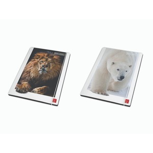 PIGNA - MONDRE MONDRE ANIMALE - Classeur à 3 rabats - Origine Italie - Impression numérique - Product Image 1