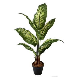 Planta artificial verde Rohdea en una maceta para decoración de interiores, 2 uds., 2 uds. - Product Image 1