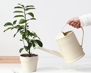 Stile semplice 2L luce di lusso piccolo borghese giardino fiore artefatto innaffiatoio Retro bocca lunga casa giardino irrigatore - Product Image 6