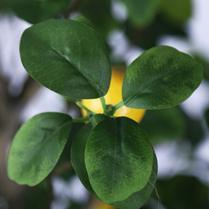Vente en gros <span class=keywords><strong>de</strong></span> mini arbres fruitiers artificiels en plastique Calamondin et Citronnelle, plantes d'intérieur décoratives <span class=keywords><strong>de</strong></span> Noël - Product Image 4