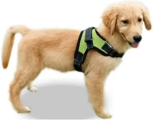 2022 China Hot Sales Tactical Soft Pet No Pull verstellbare Sex Frau mit Hund Pet Harness Custom