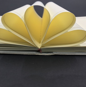 Qiyin krem ofset kağıt İncil kağıt kitap kağıdı - Product Image 6