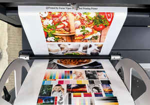 Impresora de Etiquetas de Inyección de Tinta Digital de Una Sola Pasada Focus Viper-391, Impresión de Rollo a Rollo con Código de Barras Variable - Product Image 5