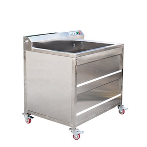 Machine industrielle de nettoyage à bulles entièrement automatique en acier inoxydable pour le lavage des feuilles des fruits et légumes - Product Image 6