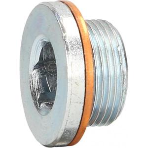 KS TOOLS - 430.0602 Vis de vidange d'huile mm pour Renault - EAN 4042146762899 HEAVY VEHICLES - Product Image 1