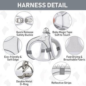 Premium Hammadde Kullanılarak Üretilmiş Köpekler ve Evcil Hayvanlar İçin Açık Hava Ekipmanları, Lüks Tasarım Özel Klasik Kedi Köpek Tasması ve Tasma Seti - Product Image 4