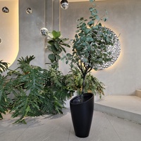Jardinières modernes minimalistes noires avec topiaire circulaire verte pour la décoration intérieure
