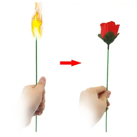 Nouveauté, surprise, blague, farce, torche mystique amusante, transforme les roses en magie, tours de magie, feu amusant en rose, cadeau romantique
