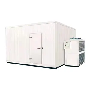 Cold Room Solar Powered Cold Room Commercial Blast Freezer Container Provided Cold Storage Cool Room