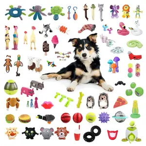 Pawise New Pets Supplier Inteligência Esconder e procurar Dog Cat Toy Interactive Pet Acessórios Produtos e brinquedos para cães e gatos