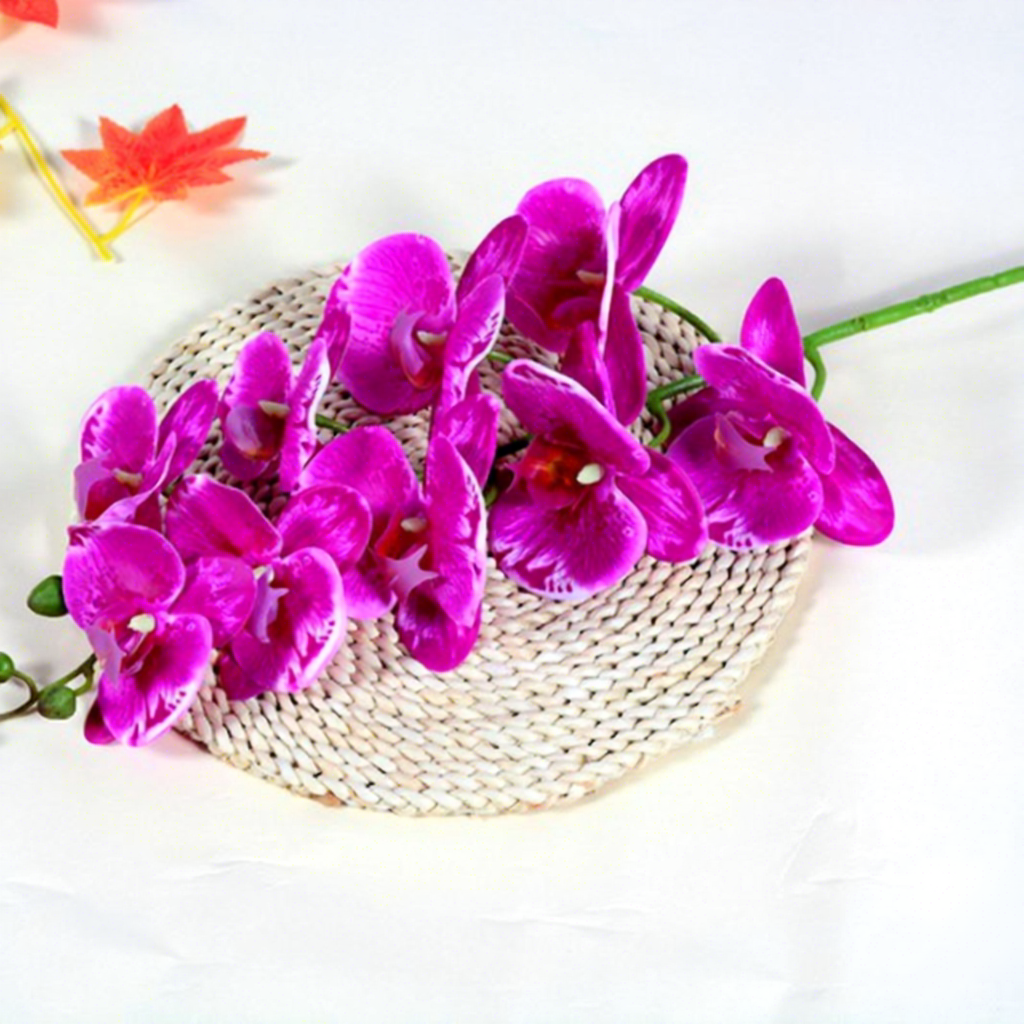 9 phalaenopsis orchids-purple and white