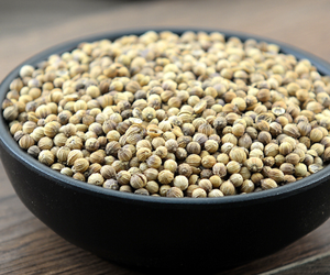 Olesale ICES PICES & ERBs Products Ried Coriander EEDS holesale orioriander - Product Image 3