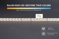 Bande LED ultra-étroite LETARON 5 mm, 12 V 24 V, LED simple découpable, 168 LED/m, CRI 90+, IP20, pour éclairage de meuble