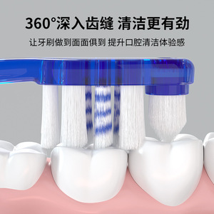 Shivit Adult Toothbrush High Quality Soft Bristles For Gum Care Home Use Manual Toothbrush - Product Image 4