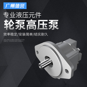 Pompe hydraulique en alliage d'aluminium Parker série PGP505, entraînement électrique, haute pression, faible bruit, alimentation flexible - Product Image 5
