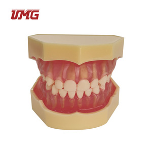 อุปกรณ์ช่วยสอนฟันปลอมแบบถอดได้สำหรับเด็ก รุ่น Um-7009 - Product Image 1