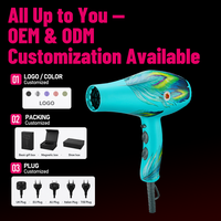 Sèche-cheveux professionnel FirePhoenix 8960 MAX PRO 3000W à moteur BLDC haute performance, faible bruit 71dB, boîtier en nylon PA