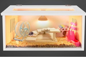 Jouet en bois pour animaux de compagnie pour perroquet Hamster Totoro écureuil miel Posset tapis roulants pour utilisation ludique des petits animaux - Product Image 5