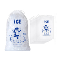 Sac à glace pour machine de conditionnement automatique de sacs de glace, 10 lb, avec cordon de serrage, scellé, jetable, logo personnalisé disponible