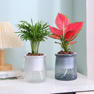 Maceta de estilo nórdico con absorción automática de agua, de resina de cristal gris, para plantas de interior, hidropónica, de escritorio. - Product Image 5