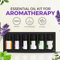 Fabricants d'huiles essentielles de haute qualité, huile essentielle de romarin, citronnelle, menthe poivrée, 10 ml, ensemble OEM 6/10 ml